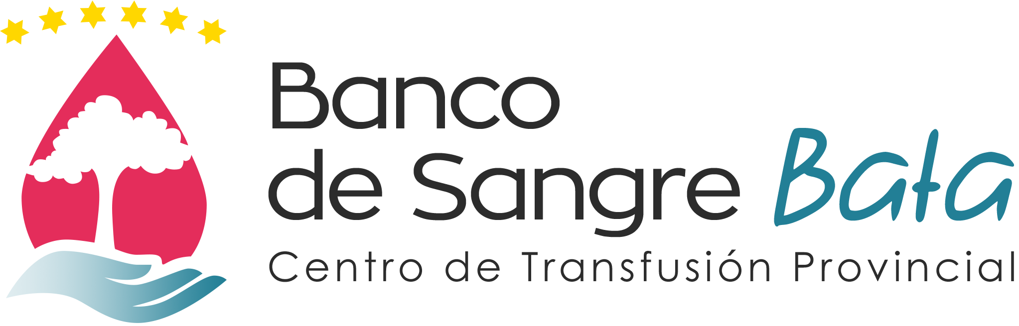 Video Category - Banco de Sangre de Bata